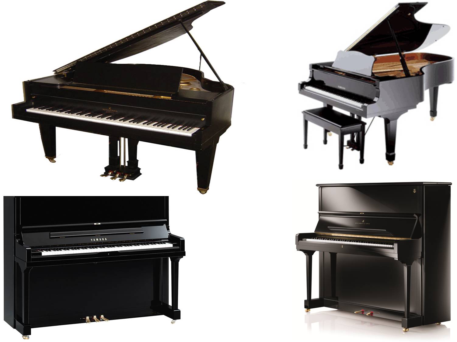 Grand Piano on rent in Gujarat